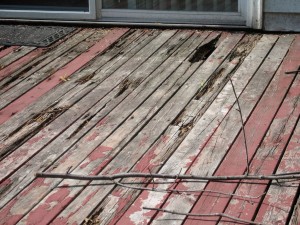 Dry Rot Deck 2